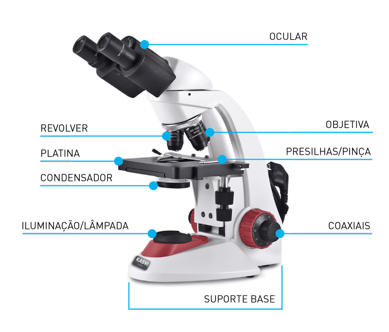 Componentes de um Microscopio